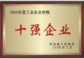 2008年工業(yè)企業(yè)納稅十強(qiáng)